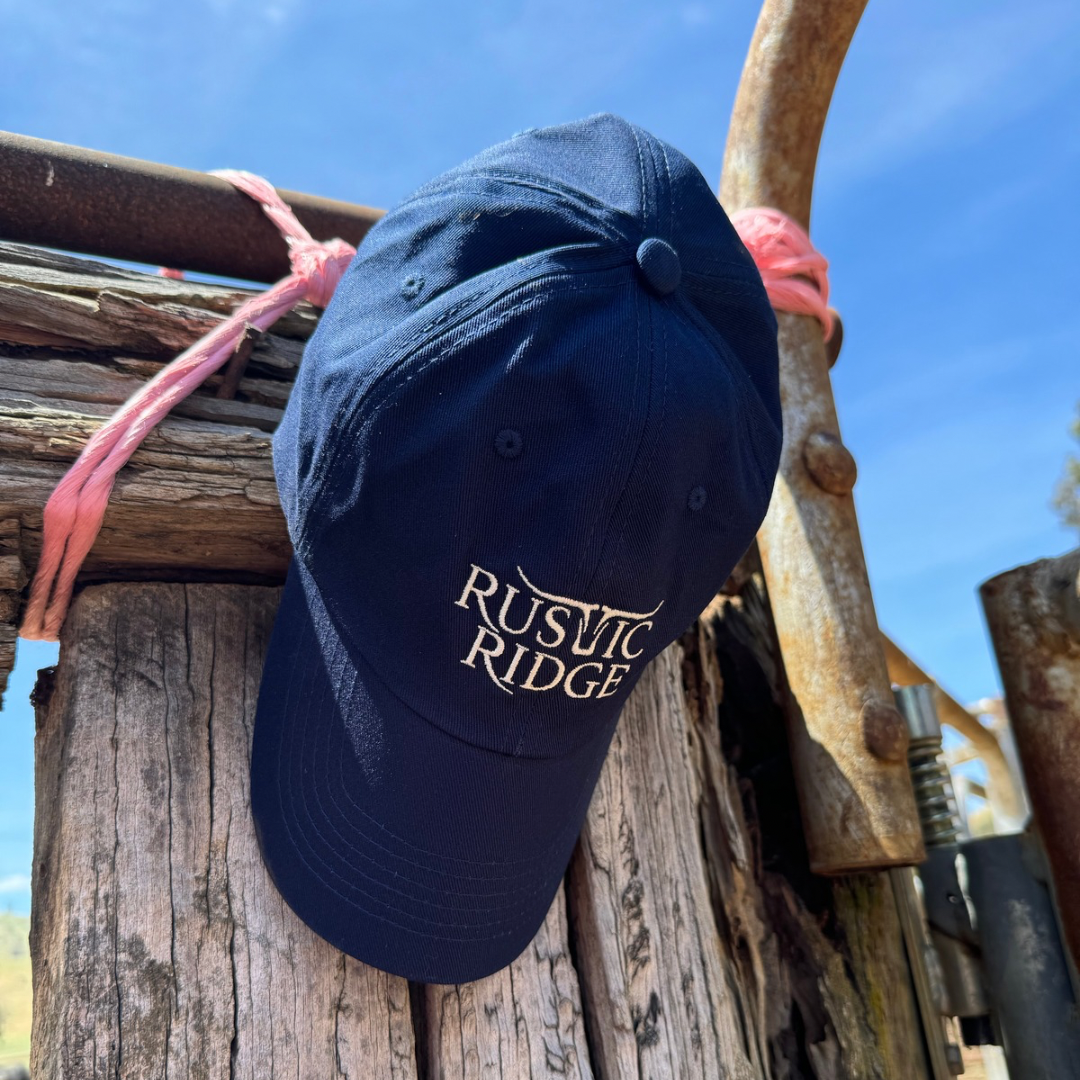 Classic RR cap - Navy