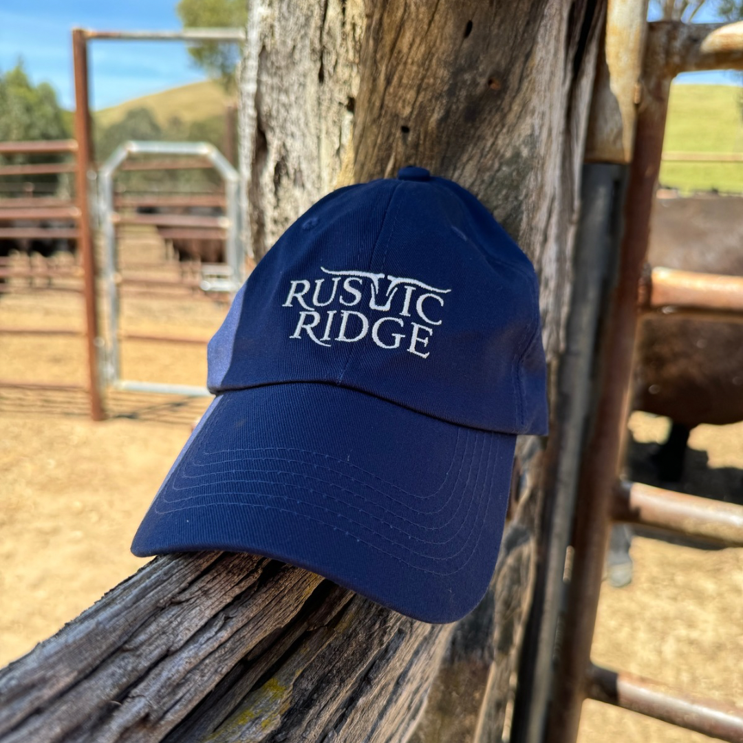 Classic RR cap - Navy