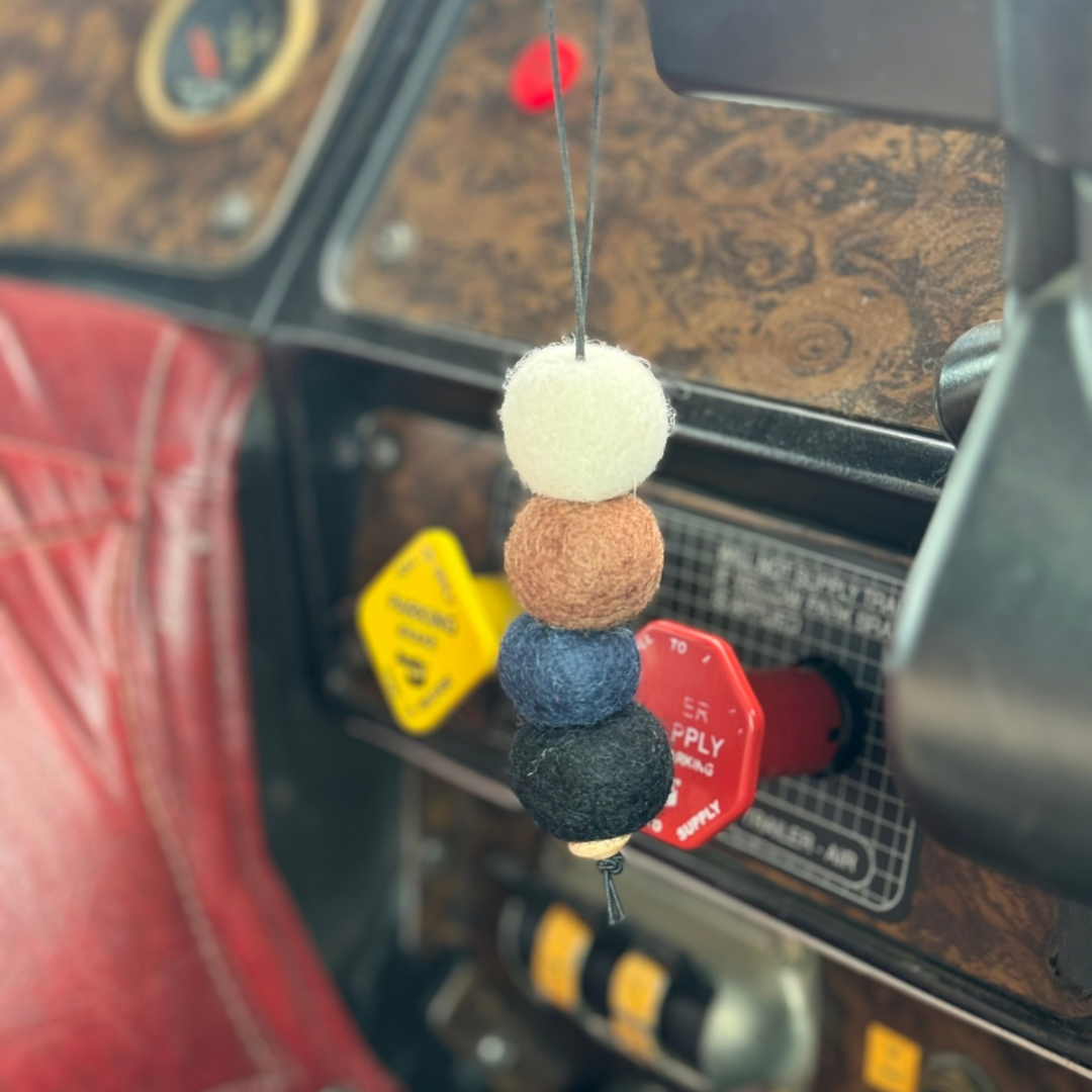 Backroad | Sniff ‘N Balls