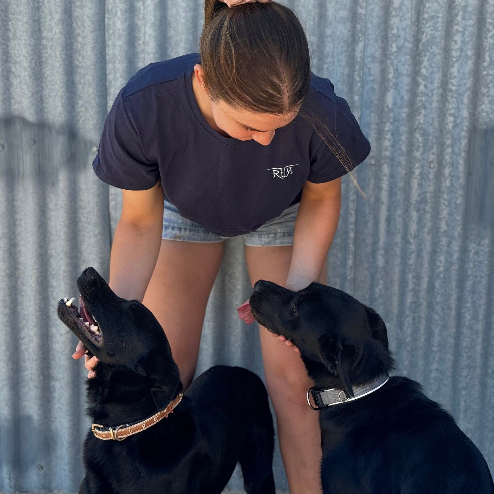 girl wearing a blue shirt patting two black dogs
